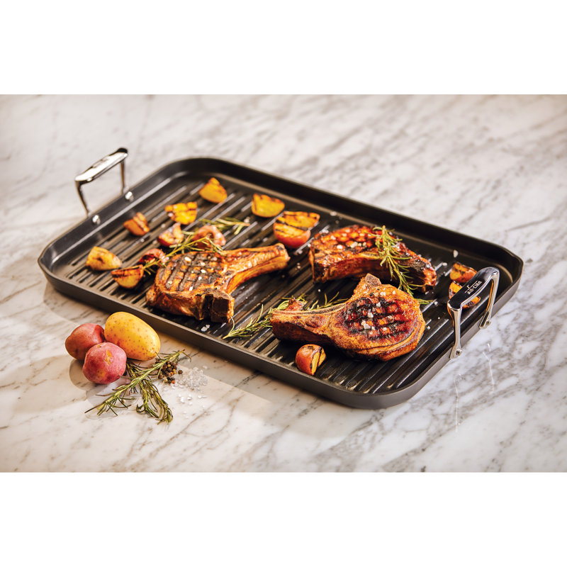 AllClad Ha1™ Aluminum NonStick Grill Pan Wayfair
